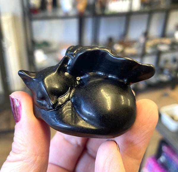 Obsidian Angel Cat