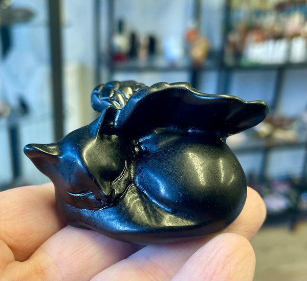 Obsidian Angel Cat