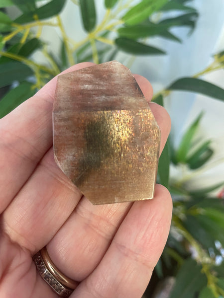 Sunstone Freeform - Medium