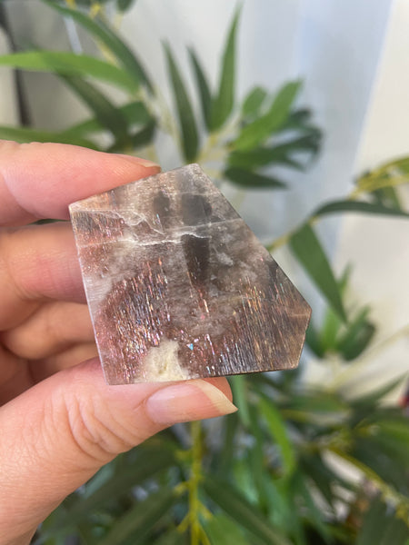 Sunstone Freeform - Medium